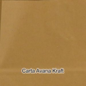Carta Avana Riciclata