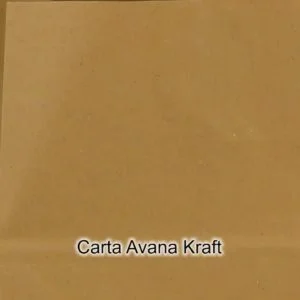 Carta Avana Riciclata