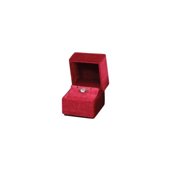 Scilla CN.44RP Astuccio multifunzione Colori assortiti