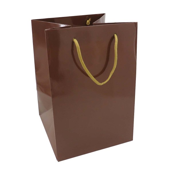 Shopper Plastificata Lucida Marrone Flat Panettone M24